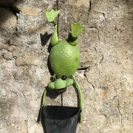 De La Grenouille - 5-7 Places - Vallee D'aure *