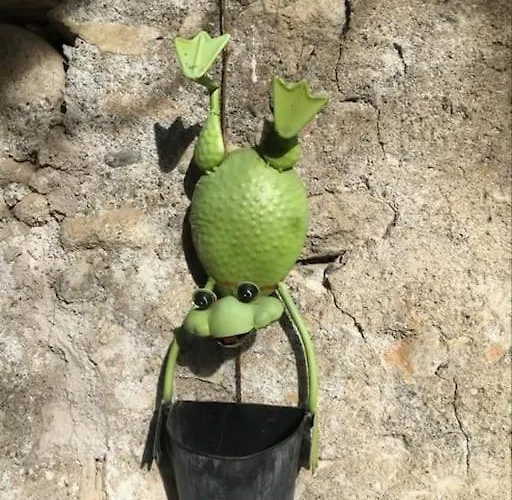 De La Grenouille - 5-7 Places - Vallee D'aure *